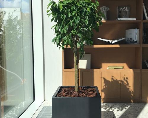 image_3